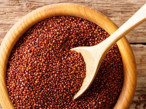 red-quinoa-seed-500x500
